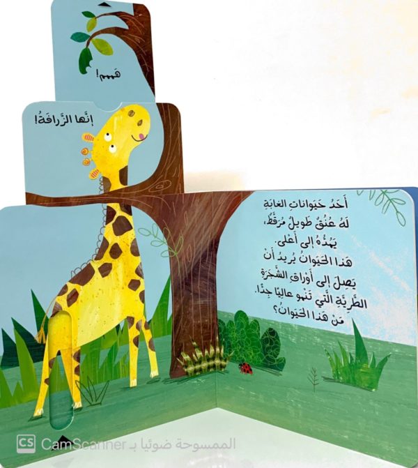 ⁦الغابة الصّاخبة⁩ - الصورة ⁦2⁩