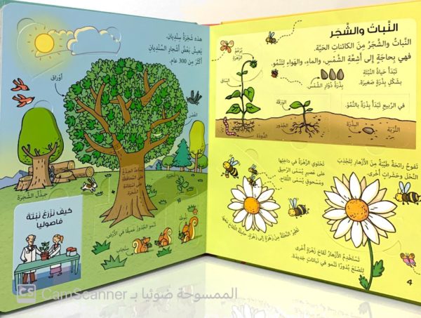 ⁦انظر داخل العلوم⁩ - الصورة ⁦4⁩