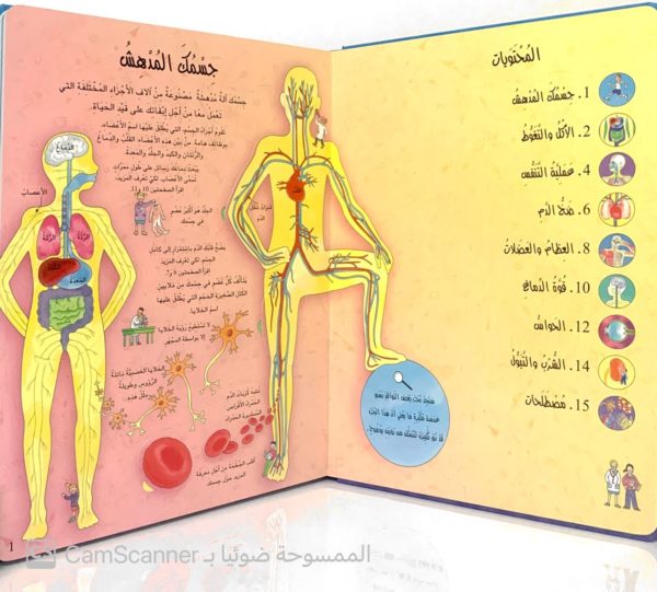 ⁦نافذة على جسم الانسان⁩ - الصورة ⁦2⁩