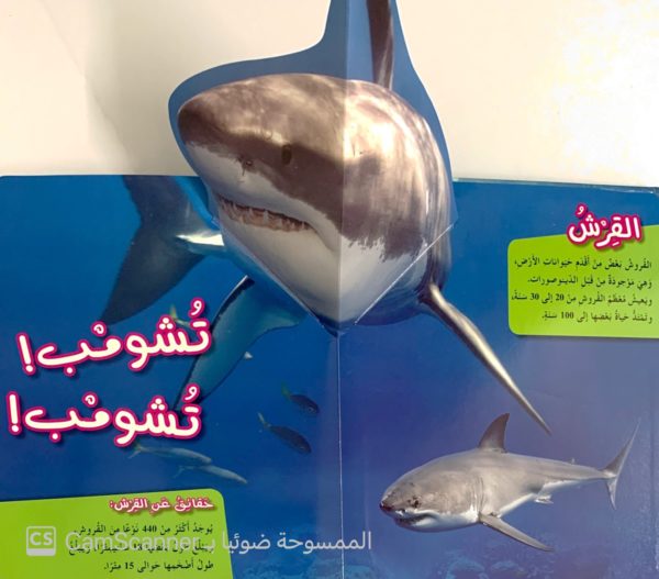 ⁦ماذا ترى في المحيط؟⁩ - الصورة ⁦3⁩