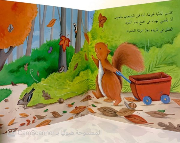 ⁦سَنْجوب مَشْغول⁩ - الصورة ⁦2⁩