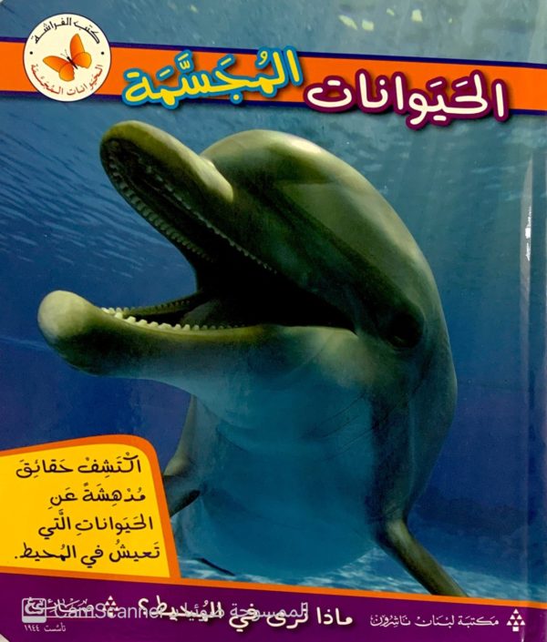 ماذا ترى في المحيط؟