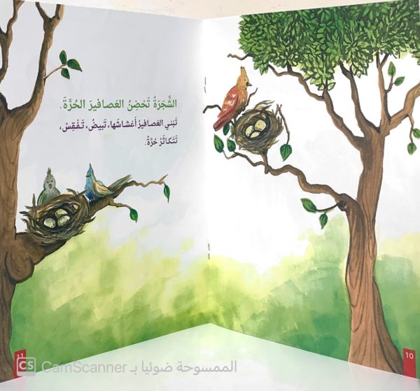 ⁦الحضن الدافئ⁩ - الصورة ⁦4⁩