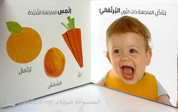 ⁦الرؤية، اللمس، الإحساس  الألوان⁩ - الصورة ⁦4⁩