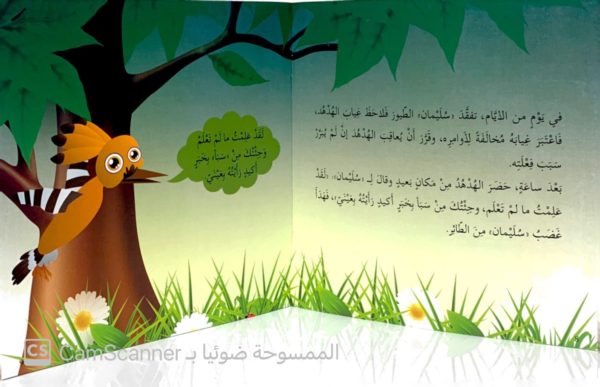 ⁦النَّبِيّ سُلَيمان عليه السلام⁩ - الصورة ⁦3⁩