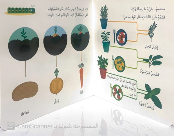 ⁦مونْتيسّوري حديقة الخضراوات⁩ - الصورة ⁦3⁩