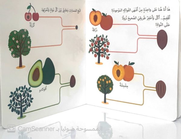 ⁦مونْتيسّوري حديقة الخضراوات⁩ - الصورة ⁦4⁩